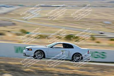 media/Mar-22-2025-West Coast Racing (Sat) [[0d49b412c8]]/Yellow Group/Session 1 (Turn 4-Exterior)/